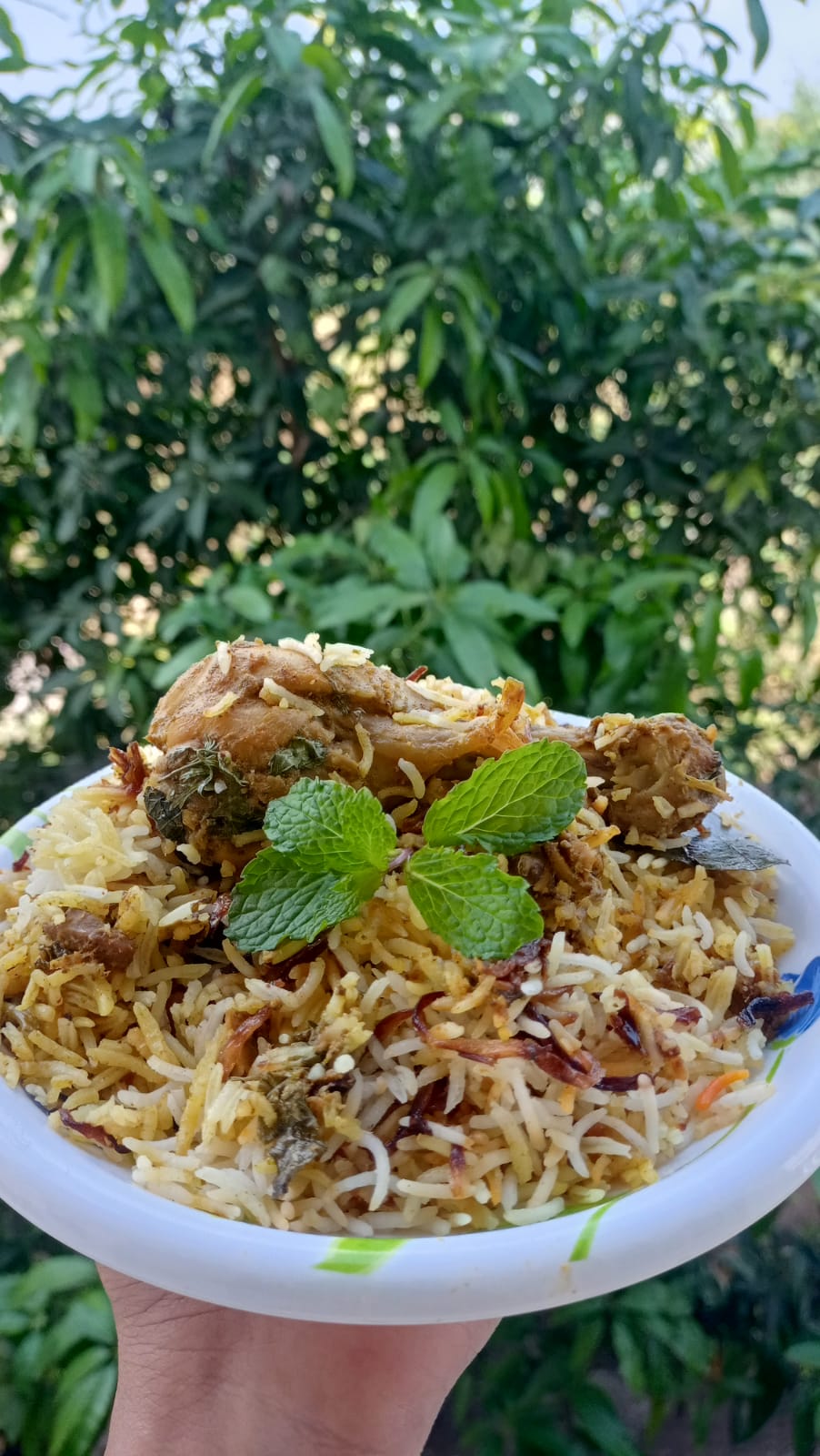 Chicken Biryani